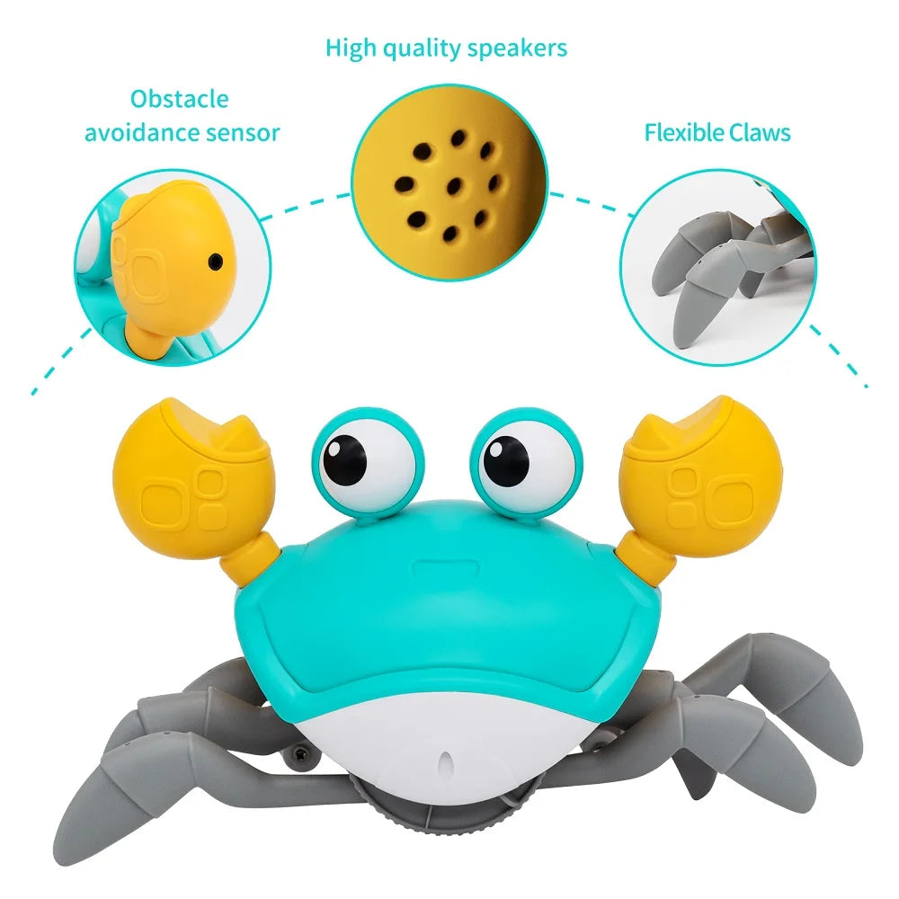 Dancing Crab