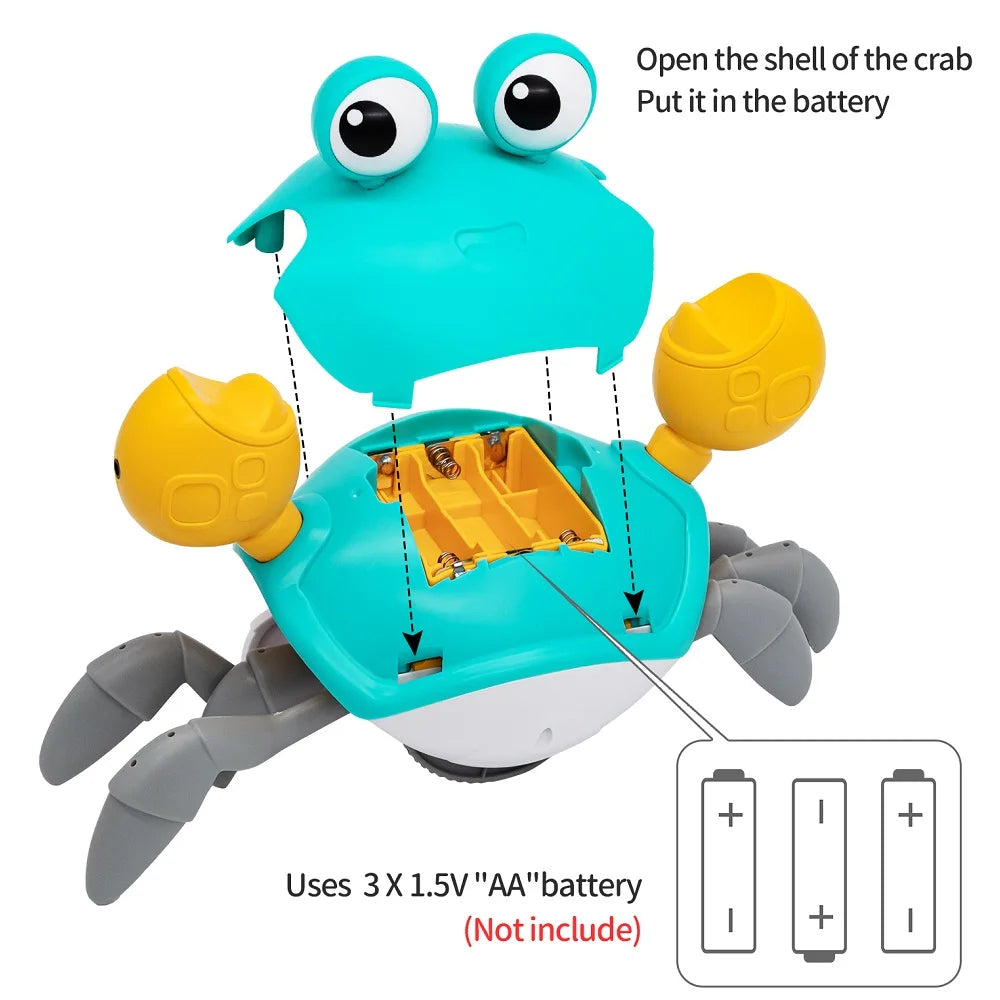 Dancing Crab