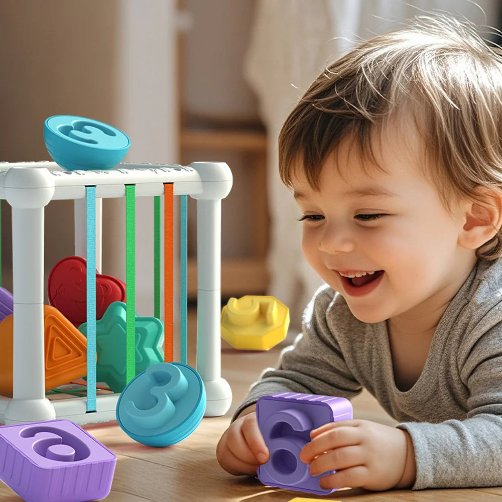7Pcs - Fruit and Cage