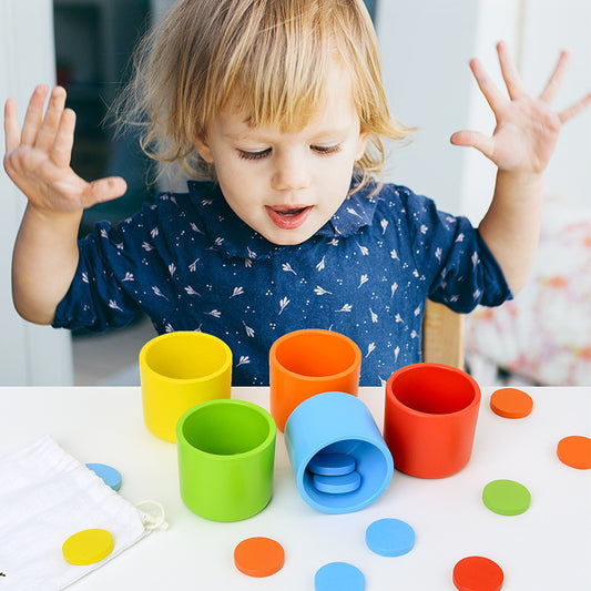 Colour Sorting Cups, Discs and Cards
